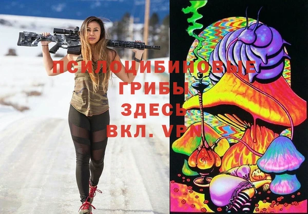 COCAINE Богородицк